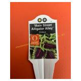 6 in pot Alligator Alley Coleus