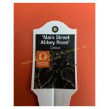 6 in pot Abbey Road Coleus