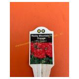 6 in pot Rocky Mountain Orange Geranium