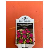 SunPatiens Compact Tropical Rose Impatiens