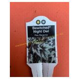 6 in pot Bewitched Night Owl Rex Begonia