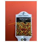 6 in pot Defiance Coleus