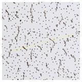 USG Ceilings 2x4 Fifth Ave White Tile (8) bid x10