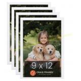 Craig Frames 9x12 White Frame Set (4)