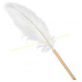 White Feather Ballpoint Pen, Refills
