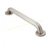 Moen Peened 42" Concealed Screw Grab Bar