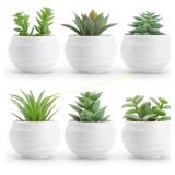Der Rose 6Pcs Small Fake Plants, Succulents