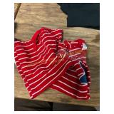 Size 3T/3A Carter s Kids shirt and shorts