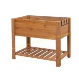 Expert Gardener Small Raised Bed for Veggies