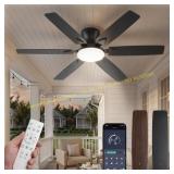 Fanbulous 52" Ceiling Fans with Lights, Black