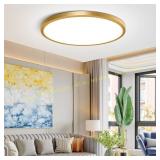 12-Inch LED Ceiling Light 24W 3200LM (Gold)