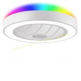 LEDIARY 22" Low Profile Ceiling Fan