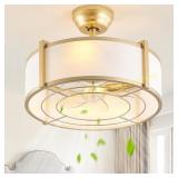 SYDACG 20" Caged Ceiling Fan with Lights