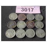 Twelve Buffalo nickels lower grade