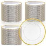 Hoolerry 100 Pack Clear Charger Plates 13"