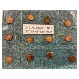 12ct Indian Head Cents 1889-1909