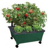 Emsco 2341-1HD City Picker Bed, Self-Watering
