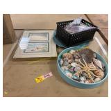 Sea Shells, Starfish, Beach Picture