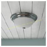 Project Source 2-Light 13-in Brushed LED