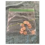 10ct Buffalo Nickels