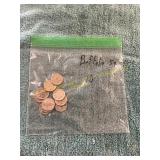 10ct Buffalo Nickels