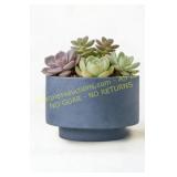 Vintage Plant Pots Home Decor Blue