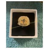 Unverified Free Mason Size 12 Ring