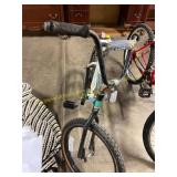 Chills bike ( murry brand)