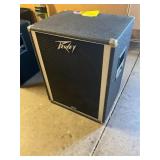 Peavy Speaker