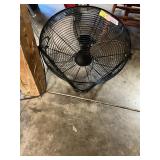 Fan