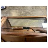 BB Gun