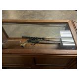 750 Roadmaster BB Gun