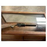 BB Gun