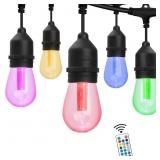 Westinghouse 24-Bulb Color-Change Light 48