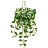Briful Macrame Hanging Plant with Fake Pothos