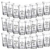 Skyley 24 Pcs Funny Shot Glasses Acrylic Party