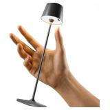 Timjorman Cordless Table Lamp, LED Light