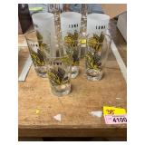 Iowa Hawkeye Glasses