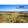 381+/- Acres in Tracts - Tractors & Farm Machinery