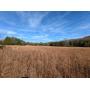 177+/- Acres in 1 Tract
