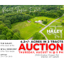 4.2+/- Acres in 2 Tracts