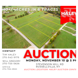 10+/- ACRES IN 6 TRACTS