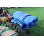 Clearing Auction for the Heastont Family, Fisherville