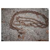 Chain 20 ft w/hooks