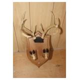 Deer Antlers & Hooves Trophy Plaque
