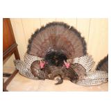 Turkey Fan Wall Mount