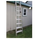 Aluminum Extension/Step Ladder