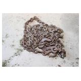 Heavy Chain