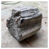 15 lbs. Petrified Wood Fossil