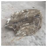 19 lbs. Petrified Wood Fossil